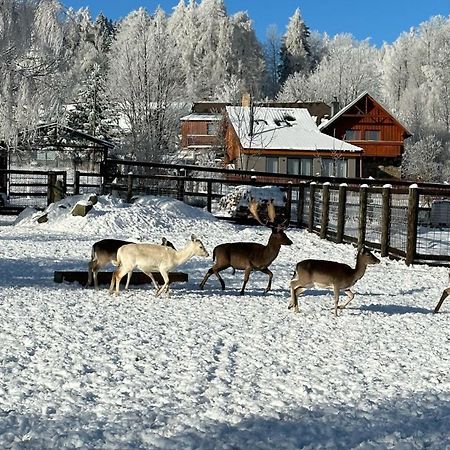 Farma Frantisek Hotel Stachy Bagian luar foto