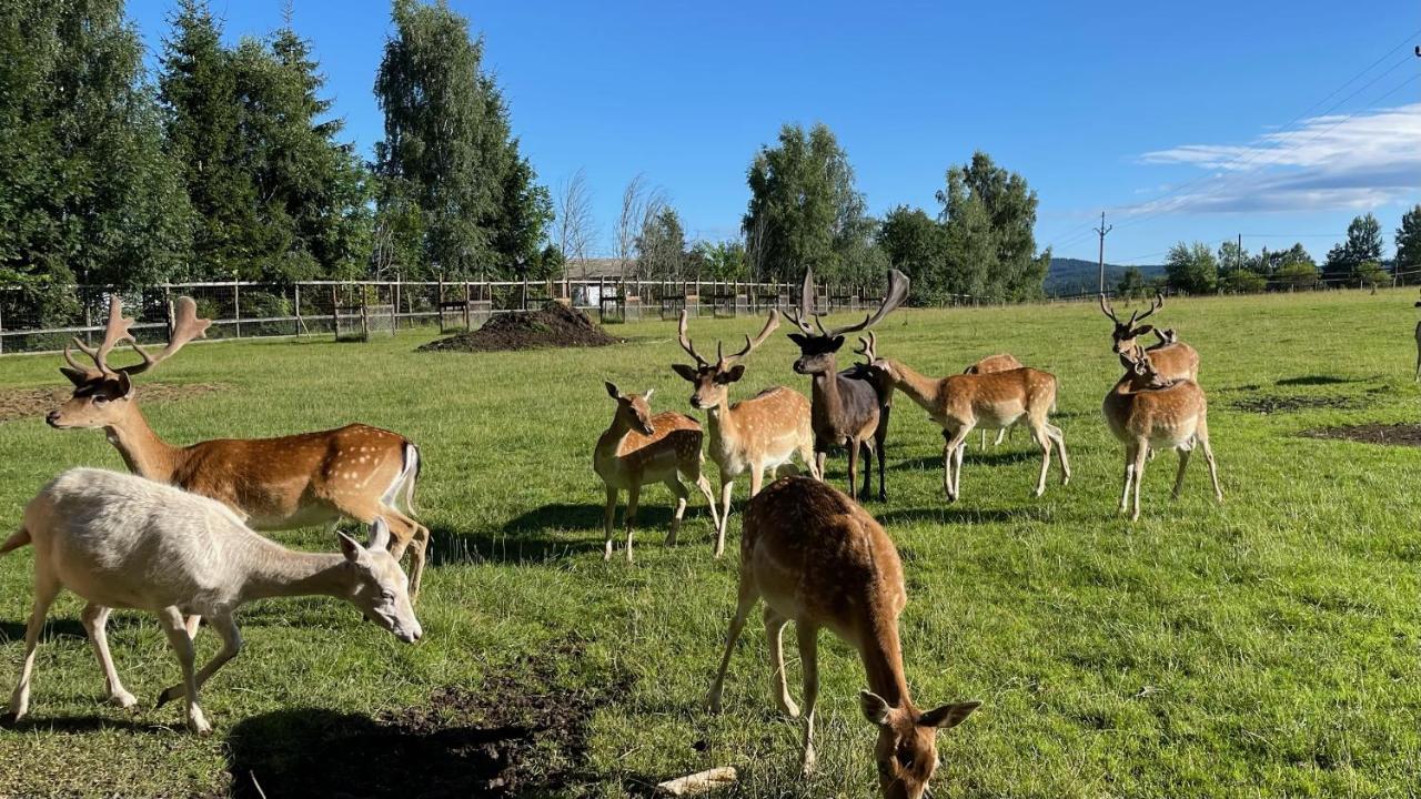 Farma Frantisek Hotel Stachy Bagian luar foto