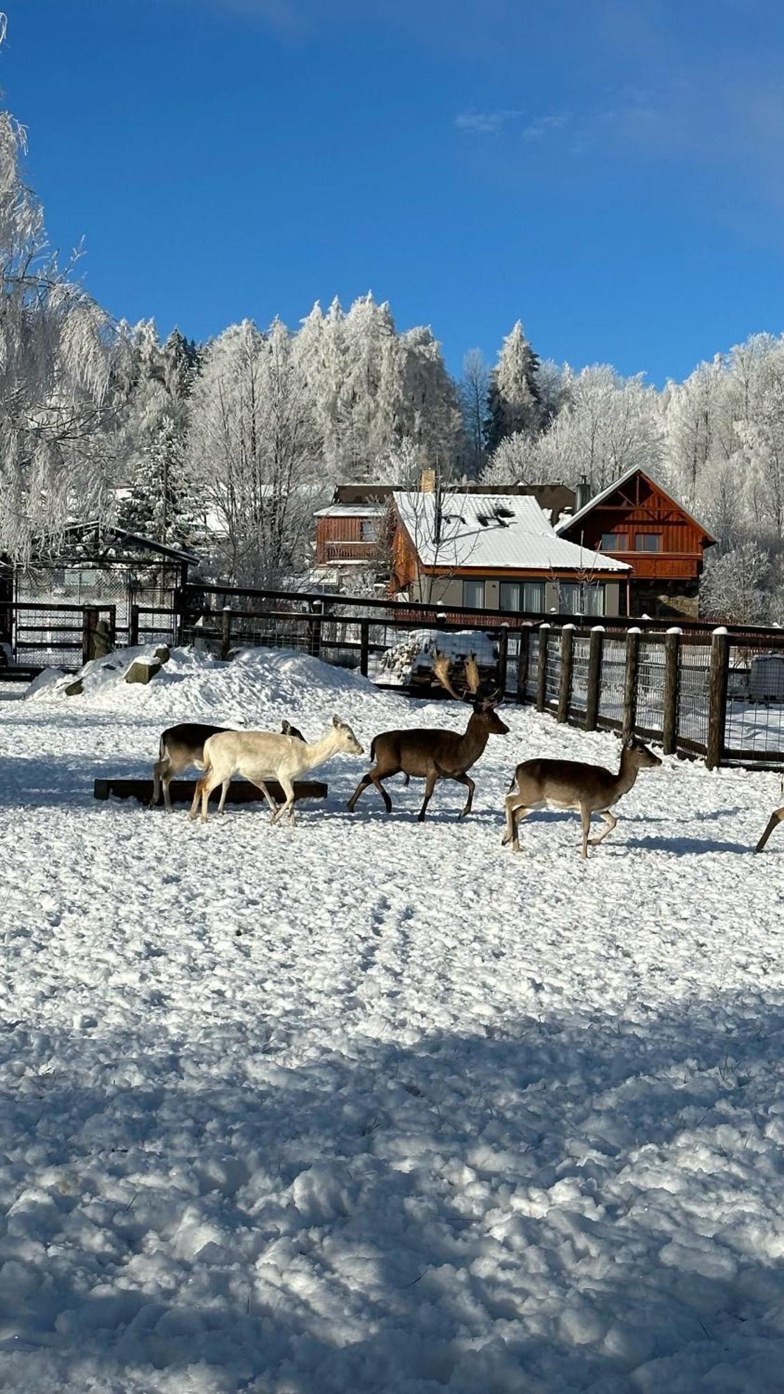 Farma Frantisek Hotel Stachy Bagian luar foto
