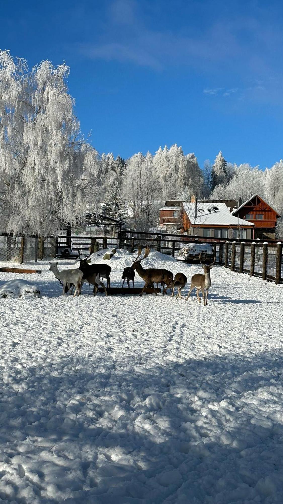 Farma Frantisek Hotel Stachy Bagian luar foto