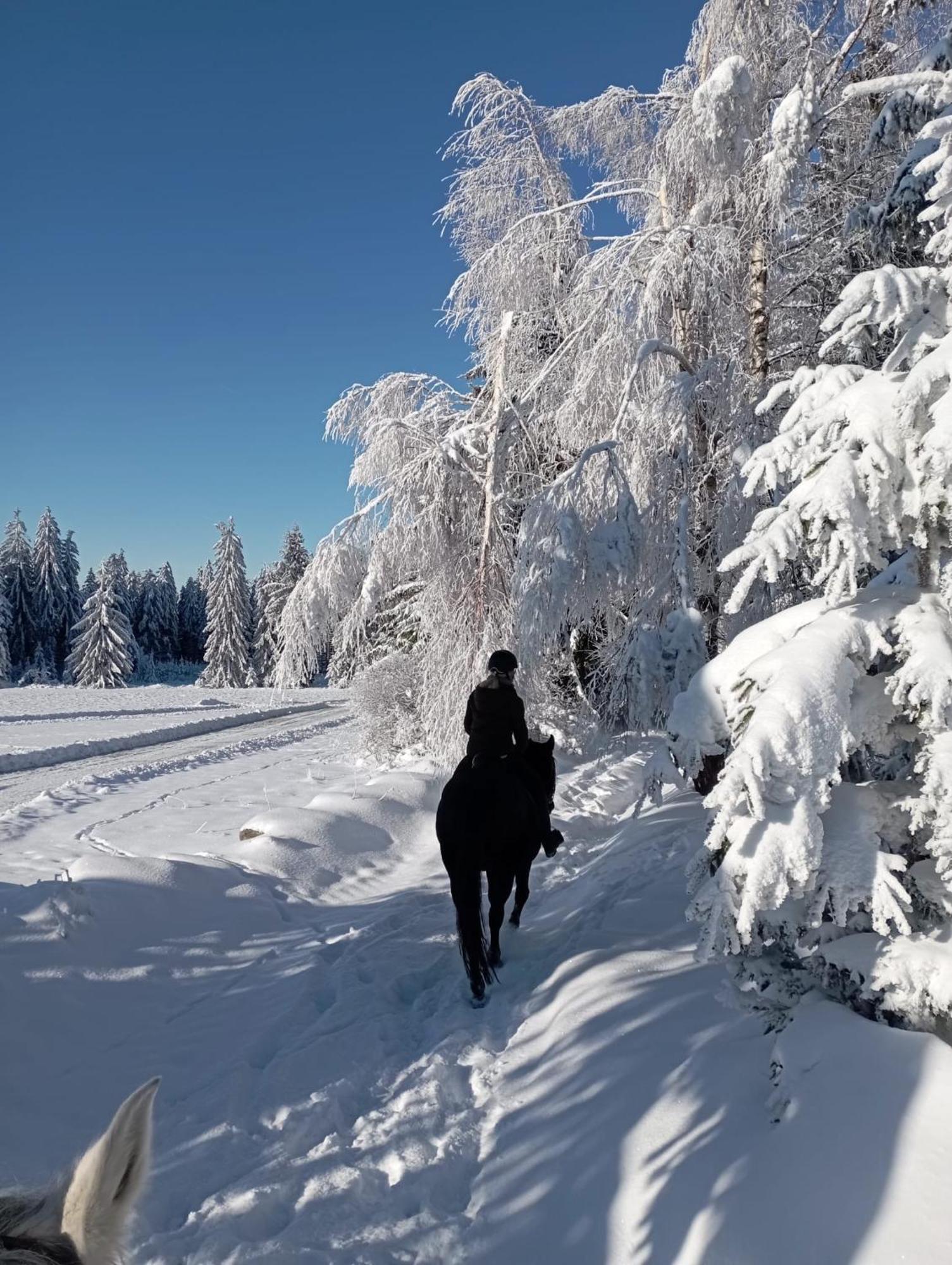 Farma Frantisek Hotel Stachy Bagian luar foto